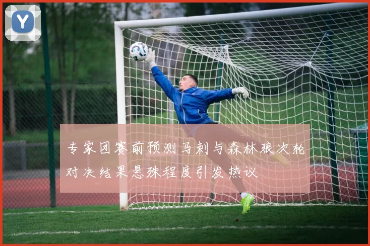 专家团赛前预测马刺与森林狼次轮对决结果悬殊程度引发热议