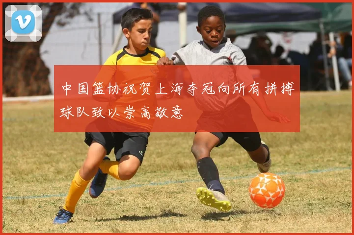 中国篮协祝贺上海夺冠向所有拼搏球队致以崇高敬意
